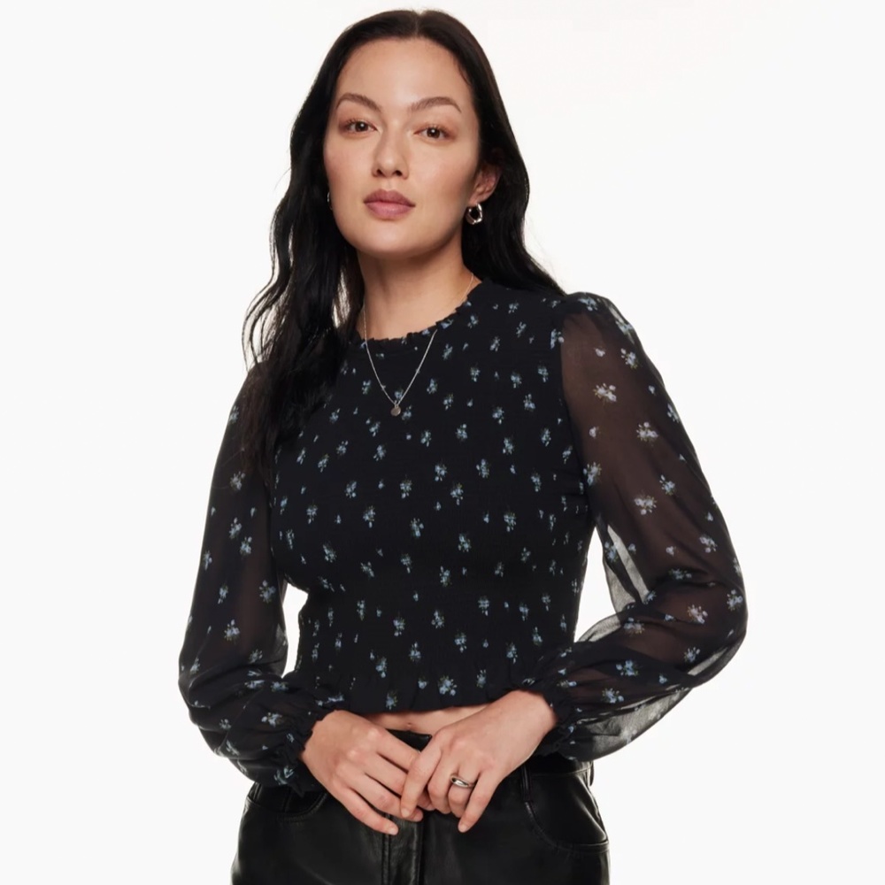Aritzia Blouse